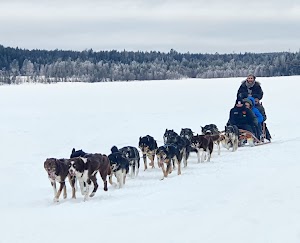 Ortsbild von „Lapland's Wild Paws“